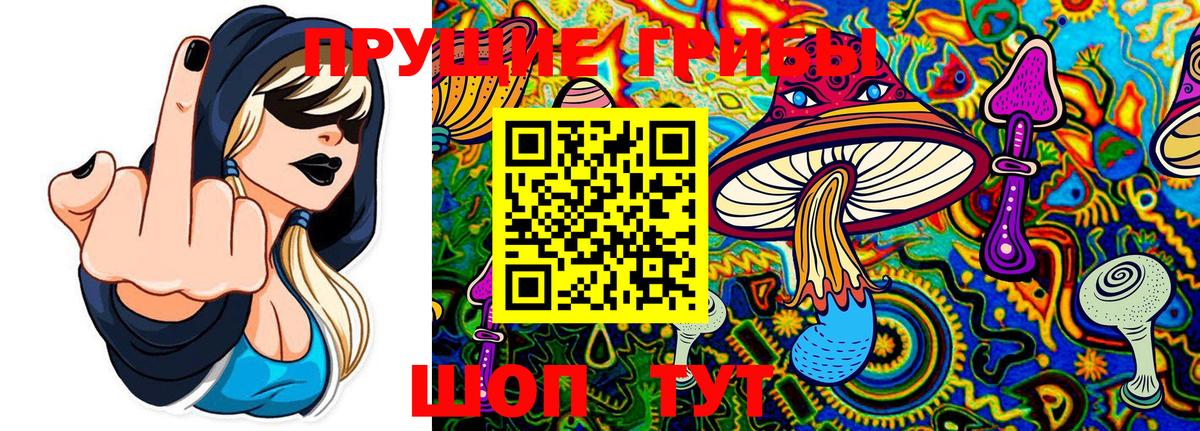 Галлюциногенные грибы MAGIC MUSHROOMS Красноуфимск