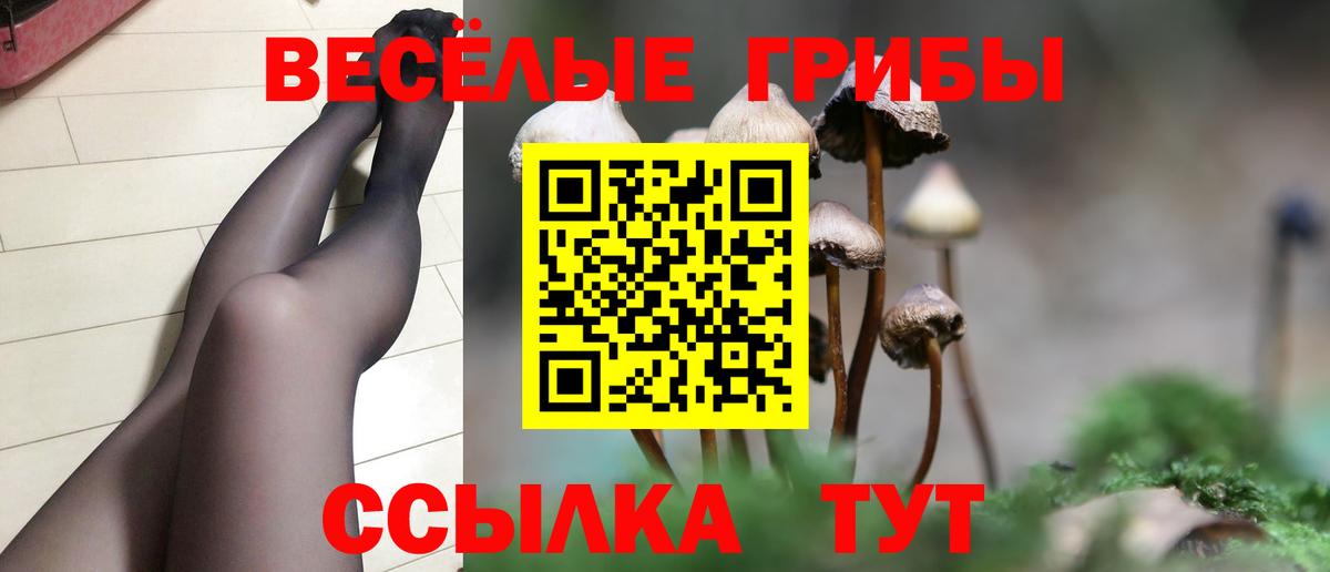 Галлюциногенные грибы GOLDEN TEACHER  Псилоцибиновые грибы GOLDEN TEACHER  Красноуфимск  Вход с VPN 
